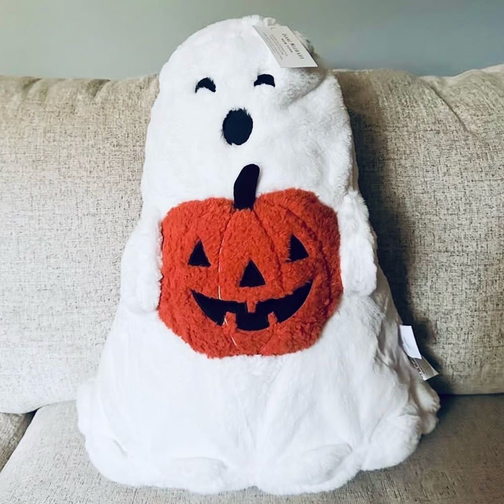 👻 Isaac Mizrahi Ghost Pillow